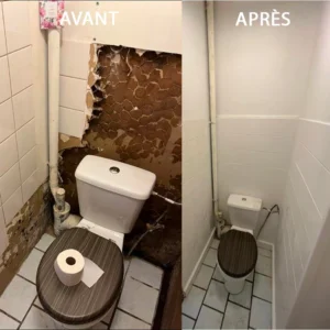 0333 couvreur_bergerac_perigueux_peintre_montpon_menesterol_mussidan_sainte-Foy_la_Grande_dordogne_toiture