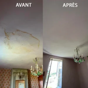 0444 couvreur_bergerac_perigueux_peintre_montpon_menesterol_mussidan_sainte-Foy_la_Grande_dordogne_toiture