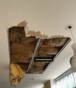 35 couvreur_bergerac_perigueux_peintre_perigueux_montpon_menesterol_mussidan_sainte-Foy_la_Grande_dordogne_toiture_charpente